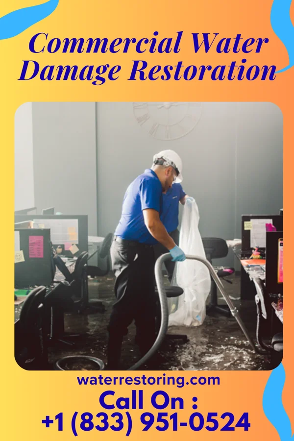 Commercial Water Damage Restoration in Moraga, CA